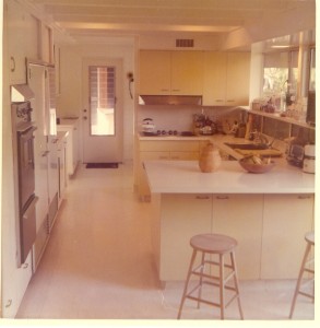 Kitchen - Malibu House