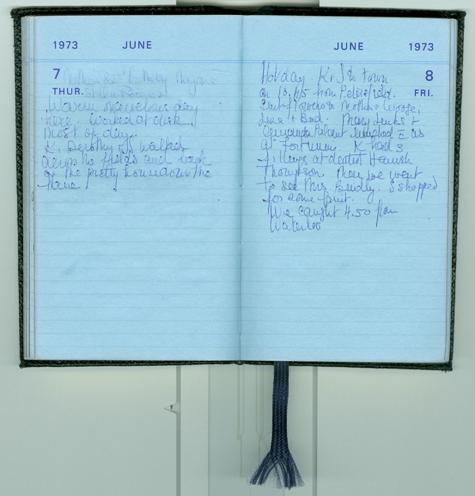 Mary's Small Diary (almost the actual physical size) for June 7th & 8th. 
